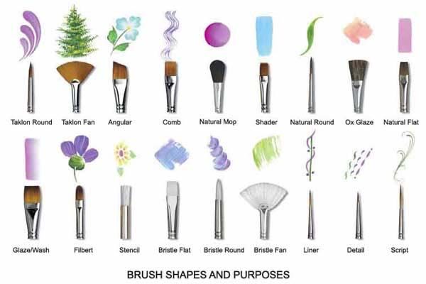 7 Different Types of Paint Brushes: Names and their Use